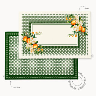 Valencia Orange Reversible Placemat / Set 2